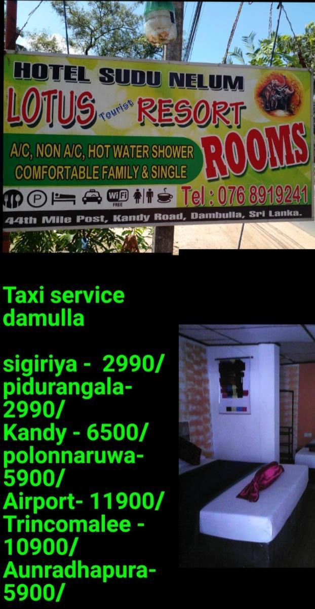 Lotus Inn Tourist Resort Dambulla Buitenkant foto