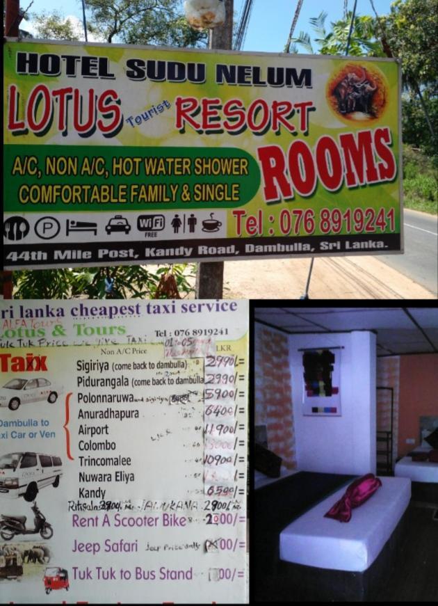 Lotus Inn Tourist Resort Dambulla Buitenkant foto